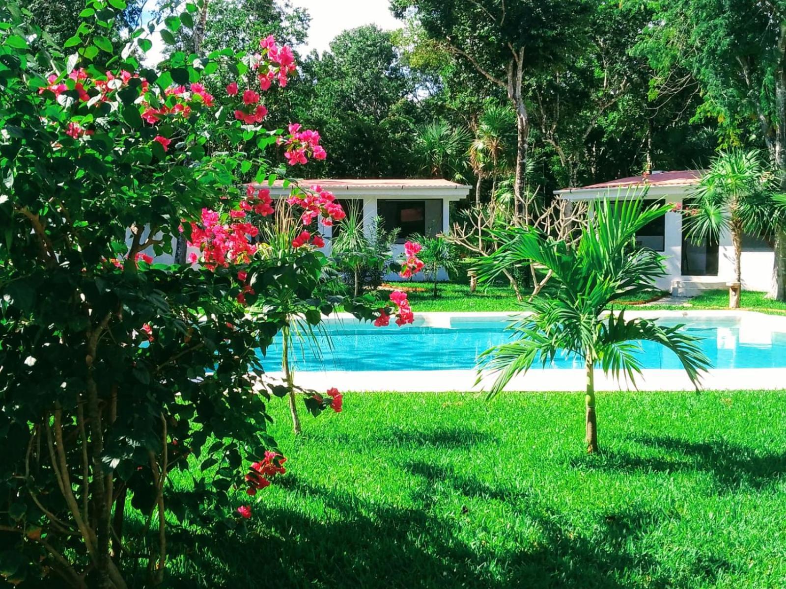 Kerubin Dorado Aparthotel อากุมัล ภายนอก รูปภาพ