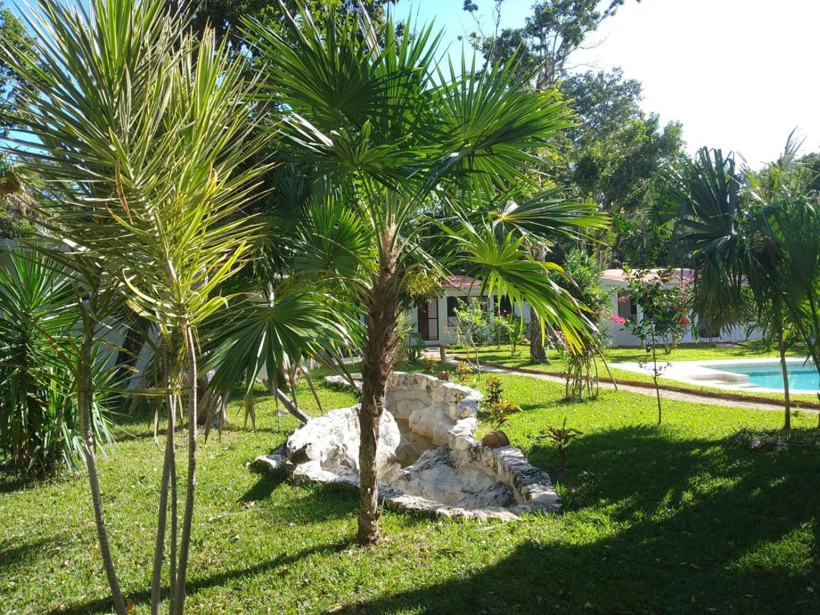 Kerubin Dorado Aparthotel อากุมัล ภายนอก รูปภาพ