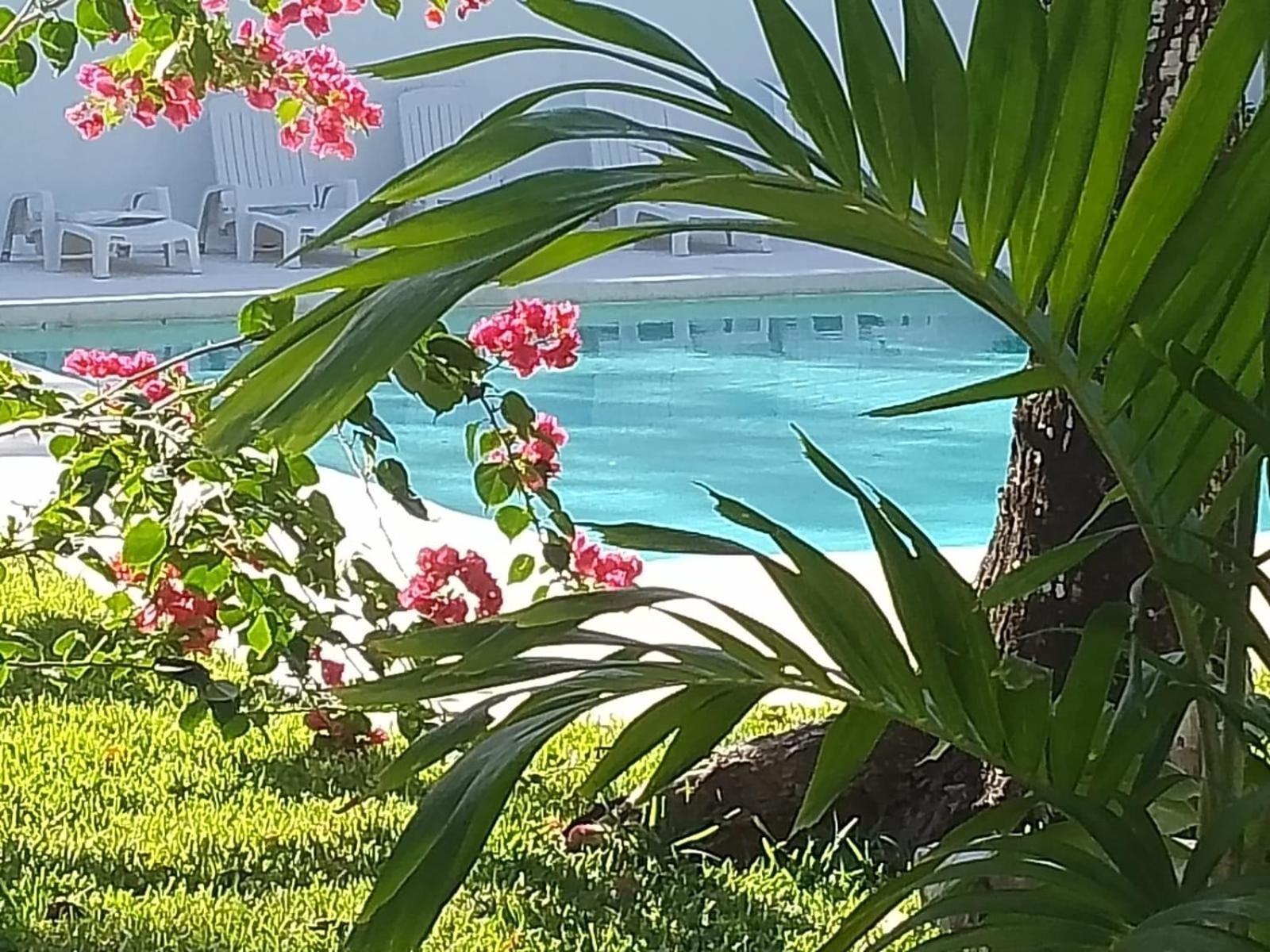 Kerubin Dorado Aparthotel อากุมัล ภายนอก รูปภาพ
